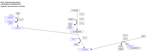 Glutamate biosynthesis