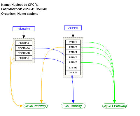 Nucleotide GPCRs
