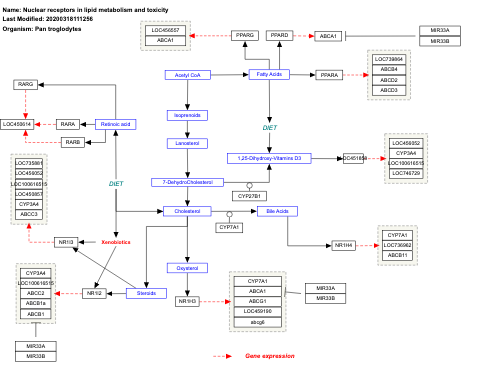 Nuclear receptors in lipid metabolism and toxicity