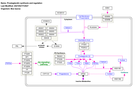 Prostaglandin synthesis and regulation