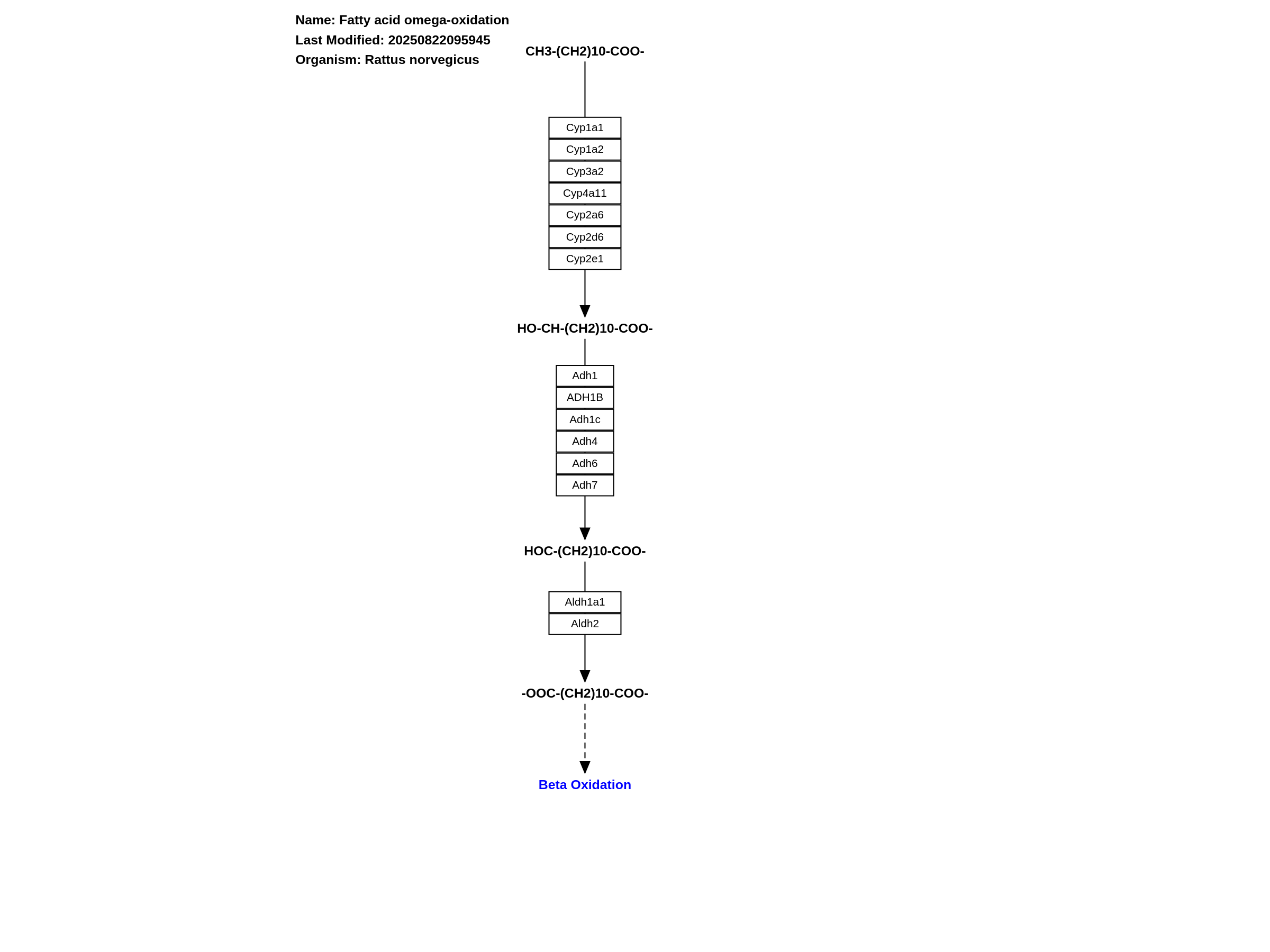 Fatty acid omega-oxidation