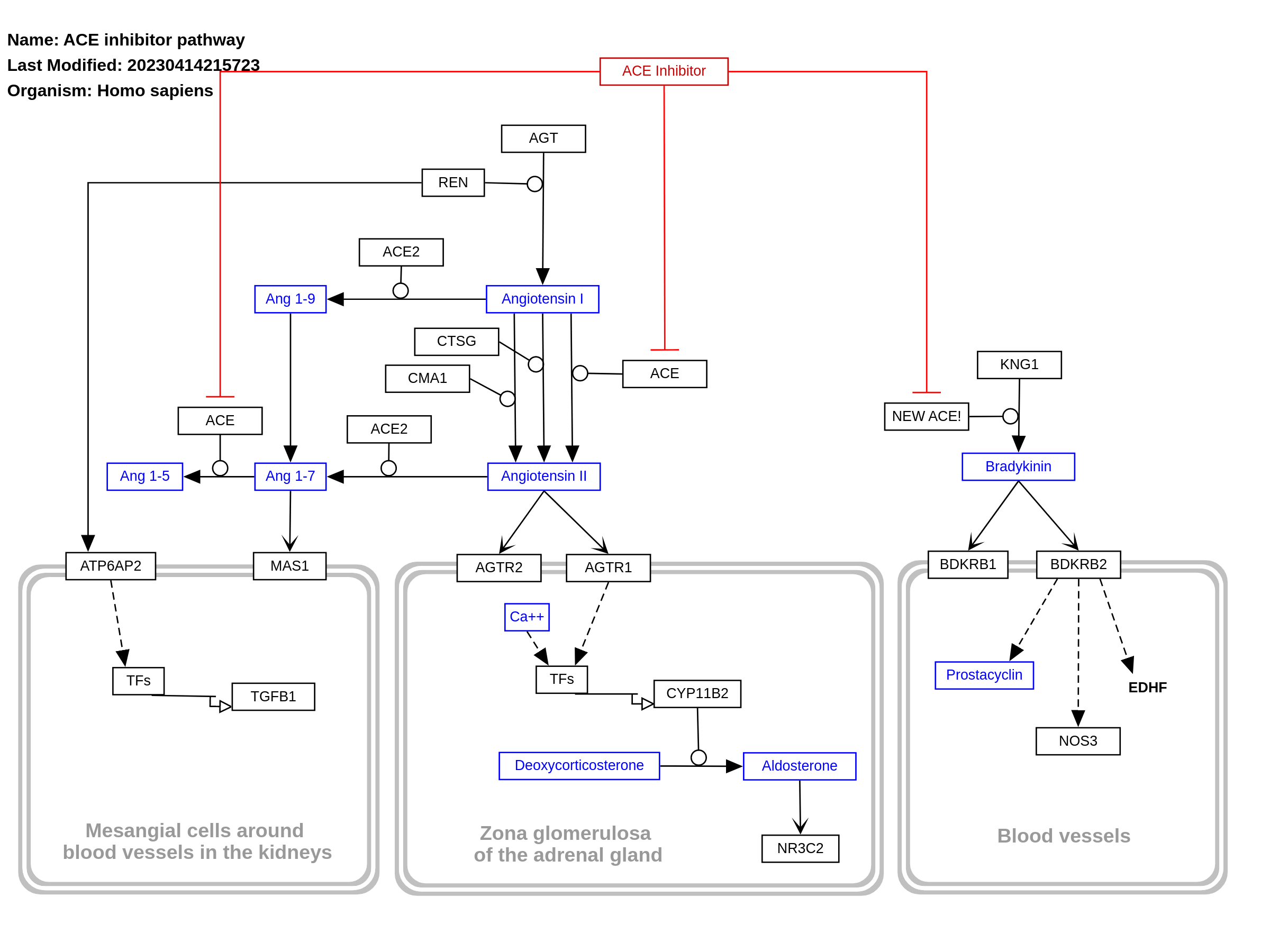 ACE inhibitor pathway