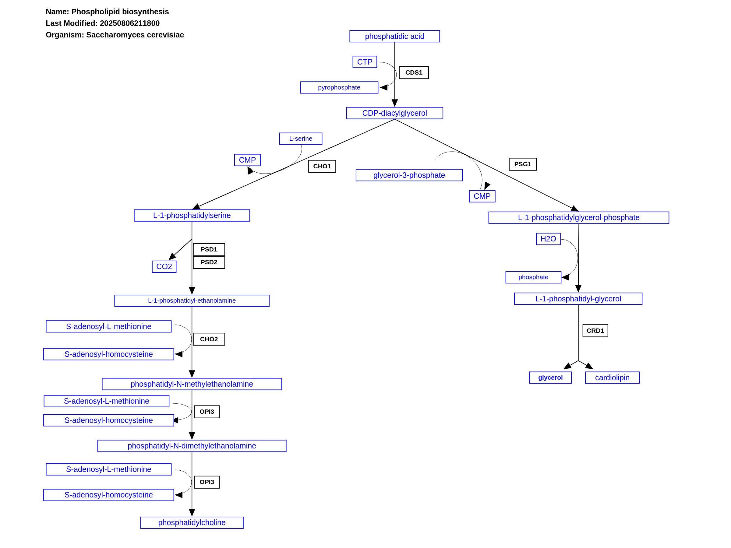 Phospholipid biosynthesis